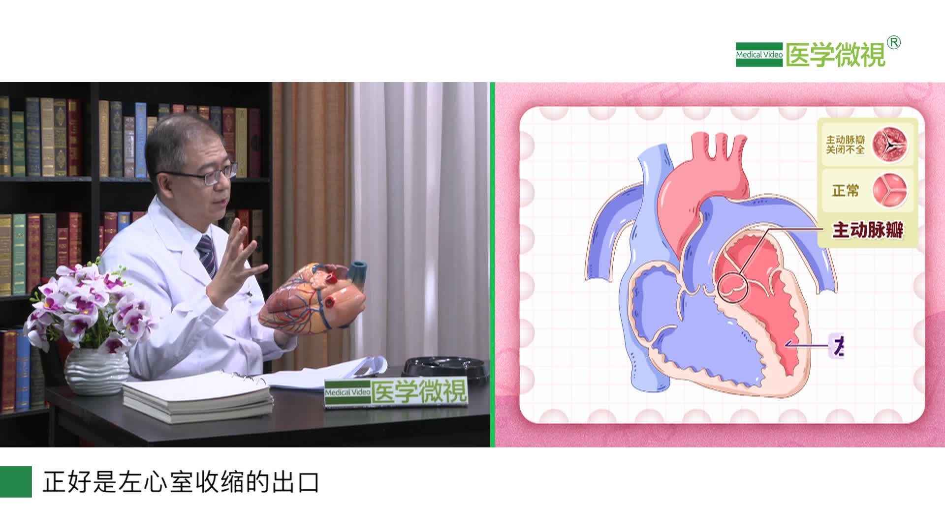 心脏超声报告显示主动脉瓣关闭不全是怎么回事