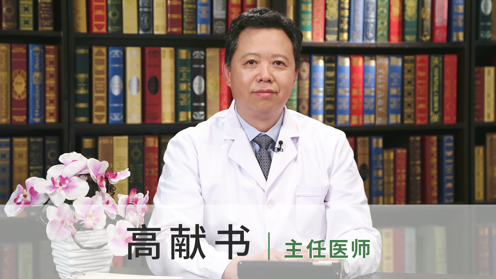 高献书