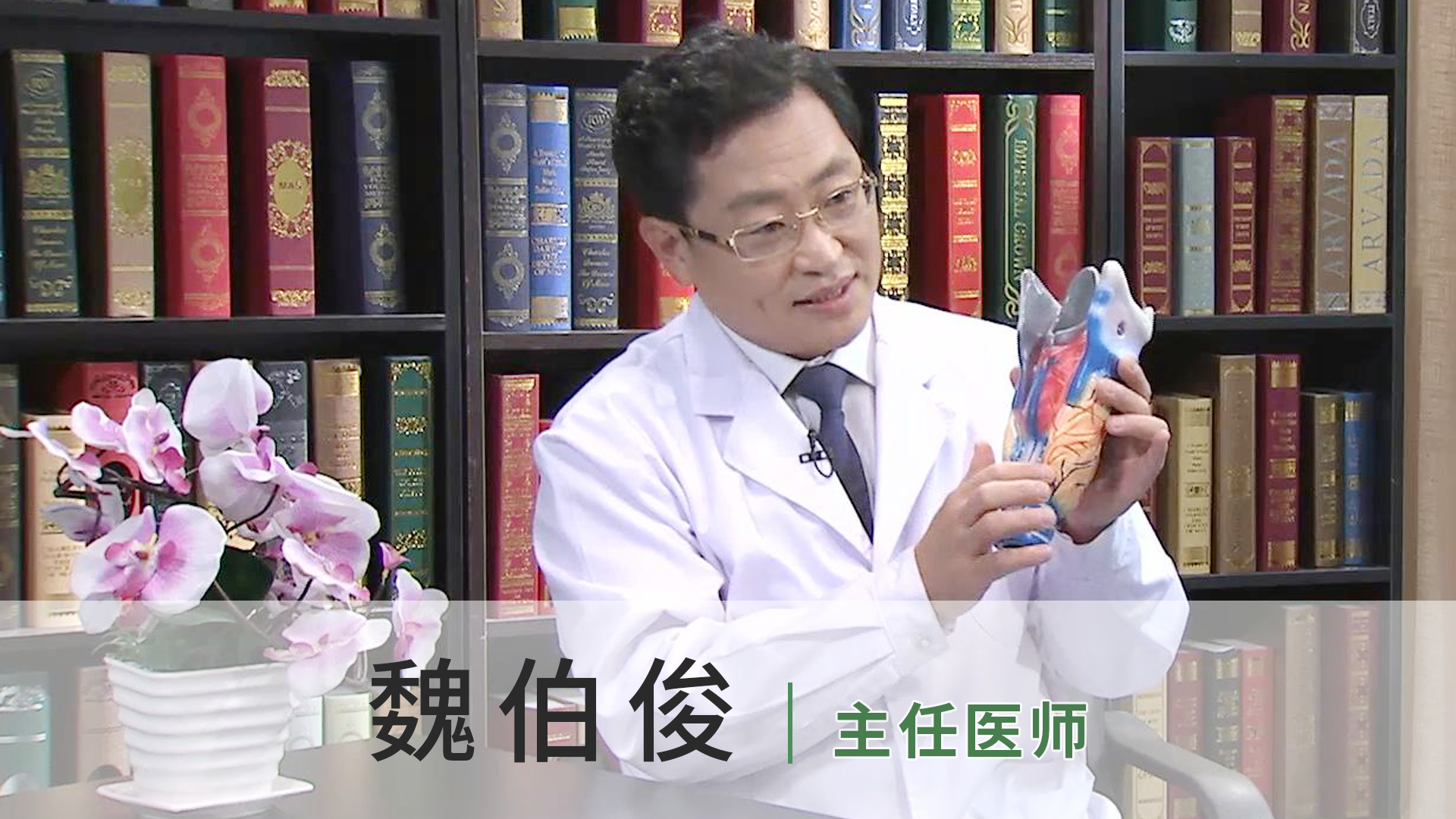 魏伯俊