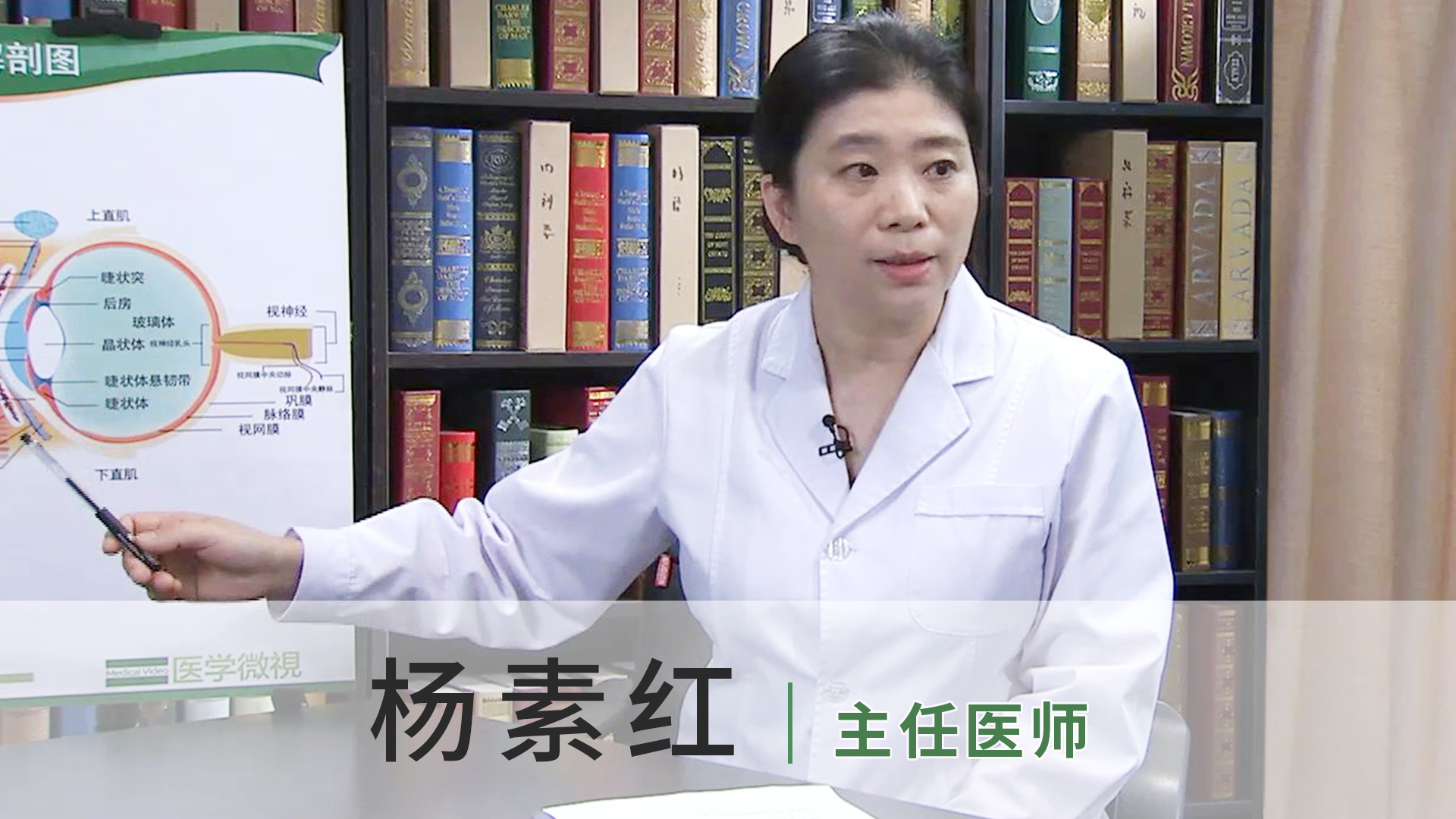 杨素红