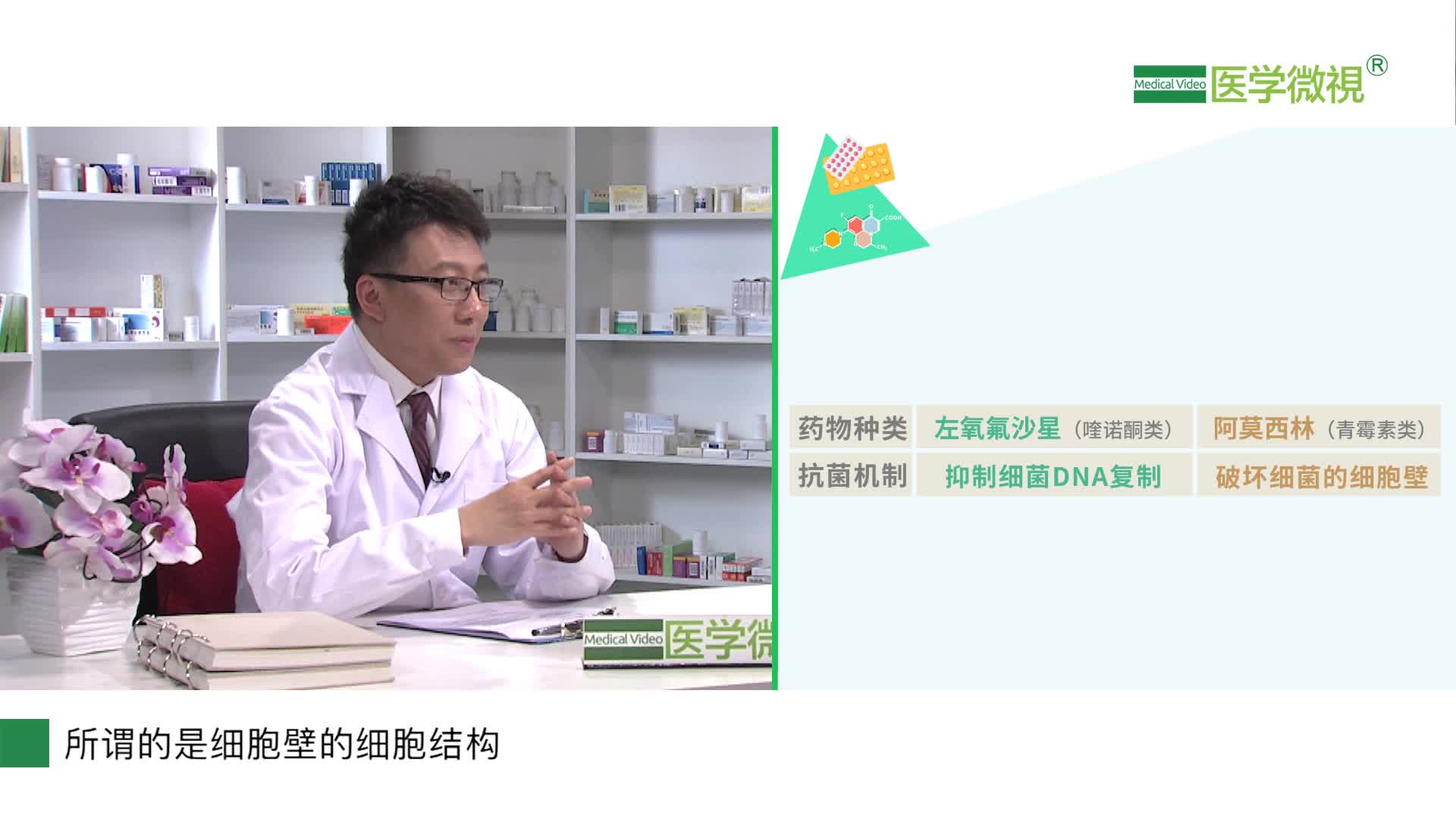 左氧氟沙星和阿莫西林有哪些不同點？能治腎積水嗎？
