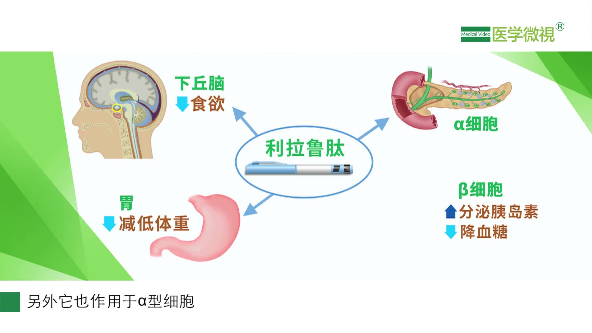 利拉鲁肽是如何发挥降低血糖作用的？有哪些特点?停药后遗症？网上可以购买吗？