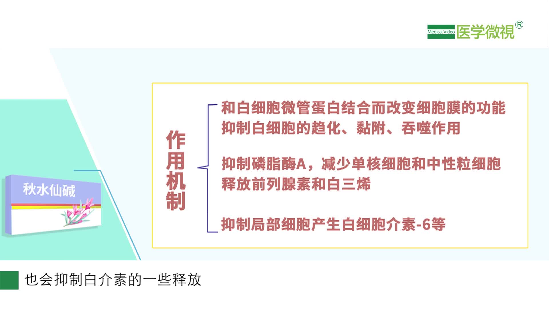 秋水仙堿是如何治療痛風急性發作的？治痛風一般幾天？